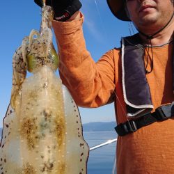 シースナイパー海龍 釣果