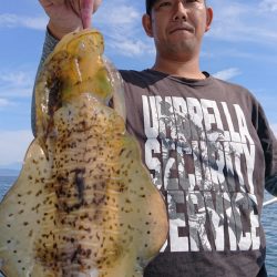 シースナイパー海龍 釣果