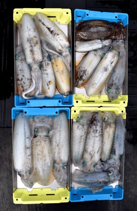 渡船屋たにぐち 釣果