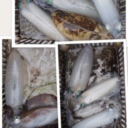 渡船屋たにぐち 釣果