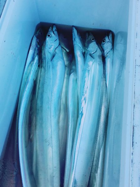 金沢八景鴨下丸 釣果