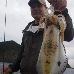 ブルースフィッシングサービス 釣果