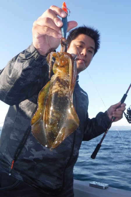 ブルースフィッシングサービス 釣果