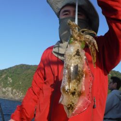 ブルースフィッシングサービス 釣果