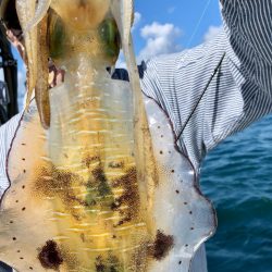 あみや渡船 JIGBOY 釣果