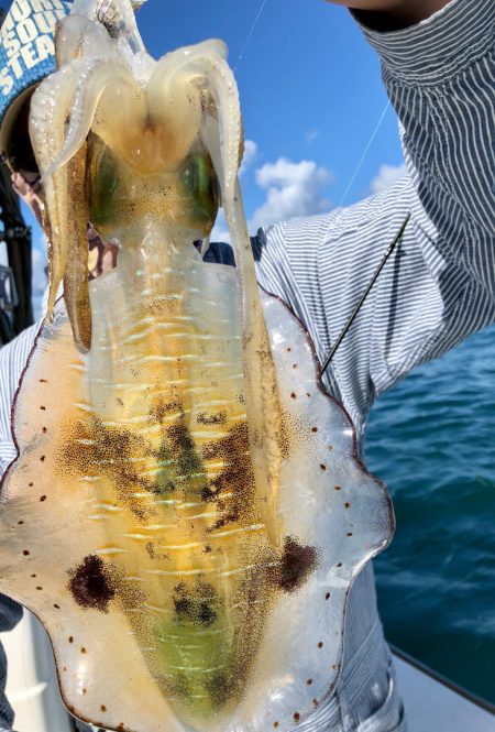 あみや渡船 JIGBOY 釣果