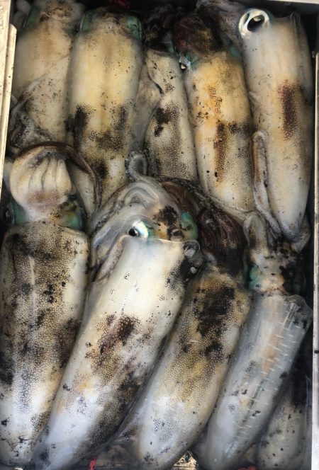 あみや渡船 JIGBOY 釣果