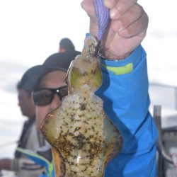 渡船屋たにぐち 釣果