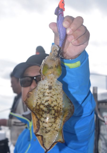 渡船屋たにぐち 釣果