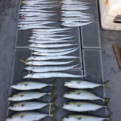 SeaRide(シーライド) 釣果