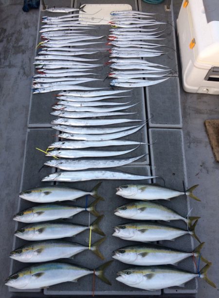 SeaRide(シーライド) 釣果