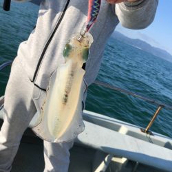 あみや渡船 JIGBOY 釣果