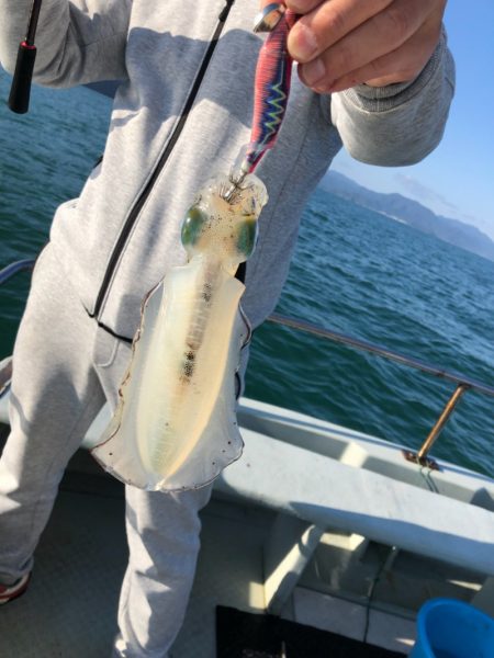 あみや渡船 JIGBOY 釣果