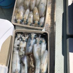 あみや渡船 JIGBOY 釣果