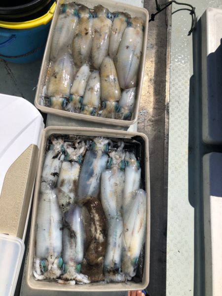 あみや渡船 JIGBOY 釣果