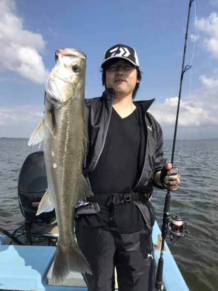 アマテラス 釣果