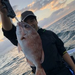 新幸丸 釣果