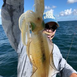 あみや渡船 JIGBOY 釣果