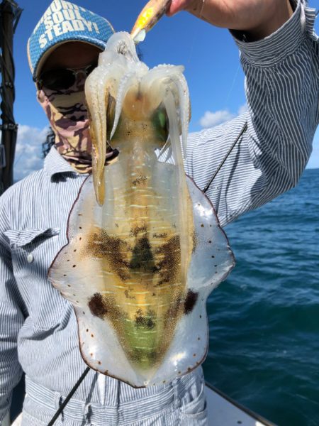 あみや渡船 JIGBOY 釣果