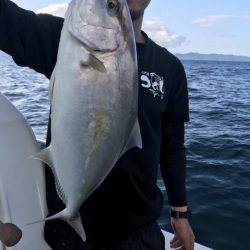 アマテラス 釣果