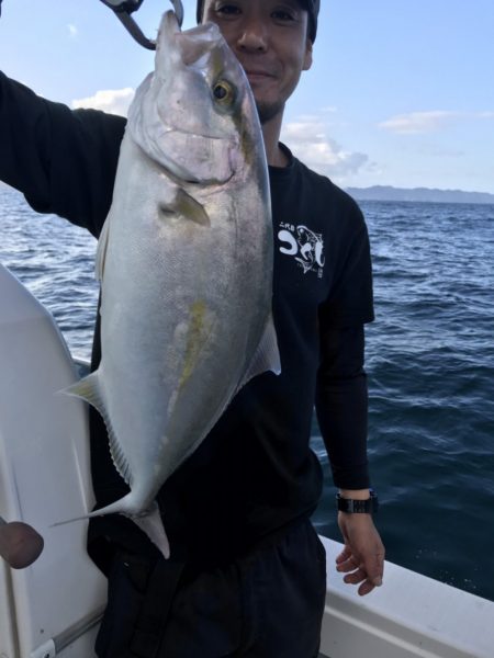 アマテラス 釣果