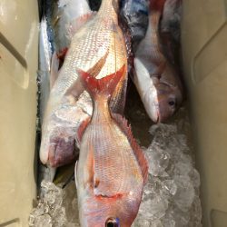 第二八坂丸 釣果