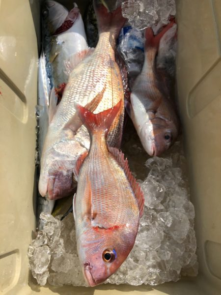 第二八坂丸 釣果