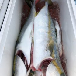 第二八坂丸 釣果