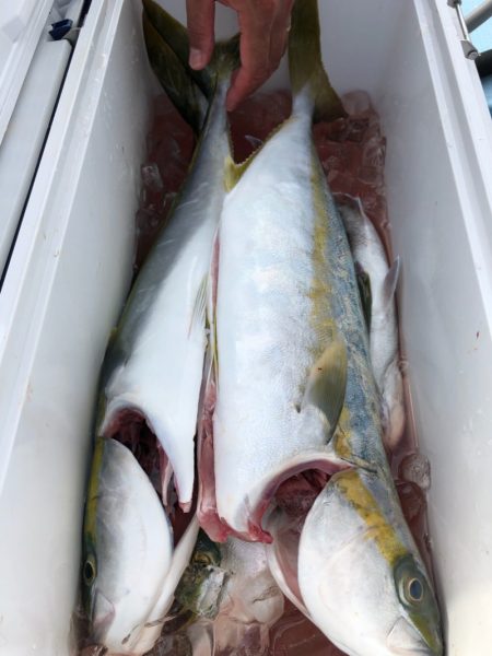 第二八坂丸 釣果