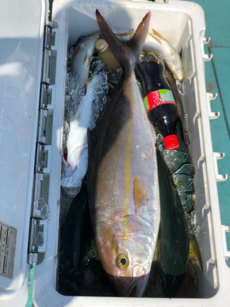 丸万釣船 釣果
