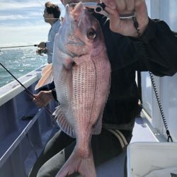 新幸丸 釣果