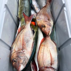 第二八坂丸 釣果