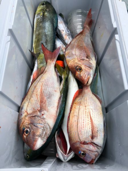 第二八坂丸 釣果