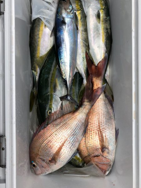 第二八坂丸 釣果