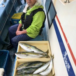 ヤザワ渡船 釣果