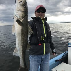 アマテラス 釣果