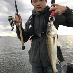 アマテラス 釣果