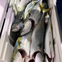 第二八坂丸 釣果