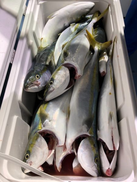 第二八坂丸 釣果