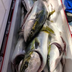 第二八坂丸 釣果