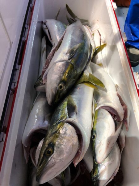 第二八坂丸 釣果