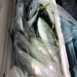 第二八坂丸 釣果