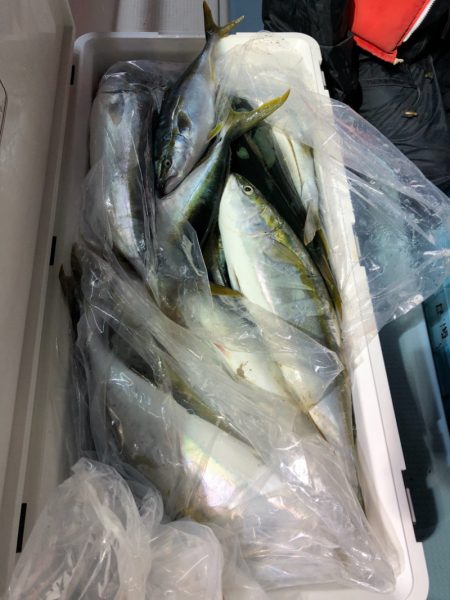 第二八坂丸 釣果