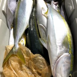 第二八坂丸 釣果