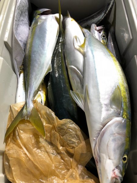 第二八坂丸 釣果