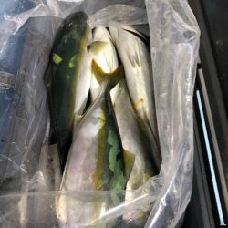 第二八坂丸 釣果