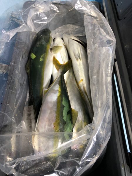 第二八坂丸 釣果