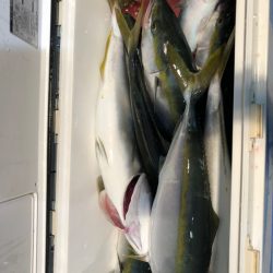 第二八坂丸 釣果