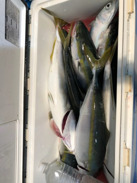 第二八坂丸 釣果