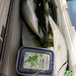 第二八坂丸 釣果